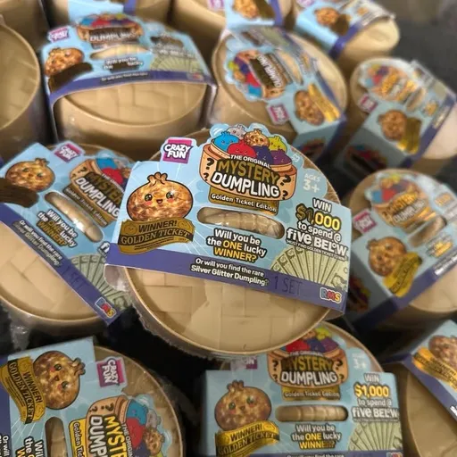 Mystery Dumpling Golden Ticket Edition boxes